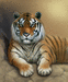 тигр на обложку